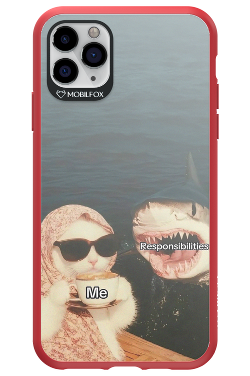 Responsibilities - Apple iPhone 11 Pro Max