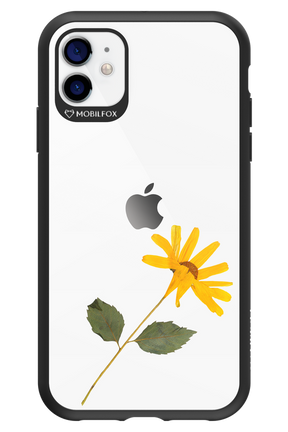 Pressed Flower - Apple iPhone 11