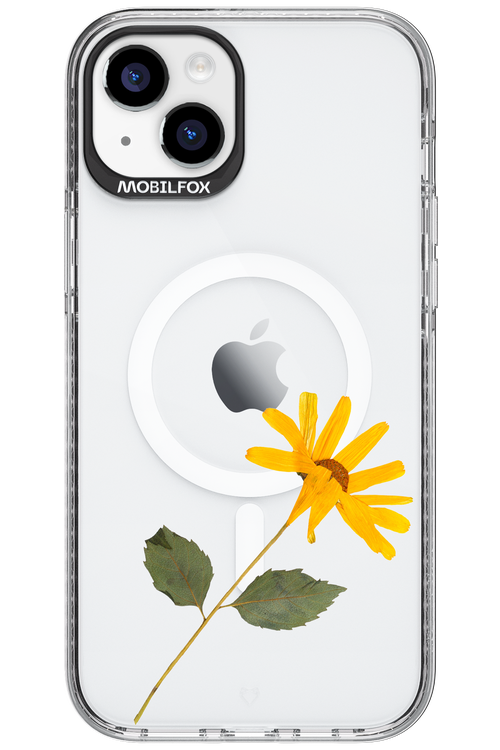 Pressed Flower - Apple iPhone 15 Plus