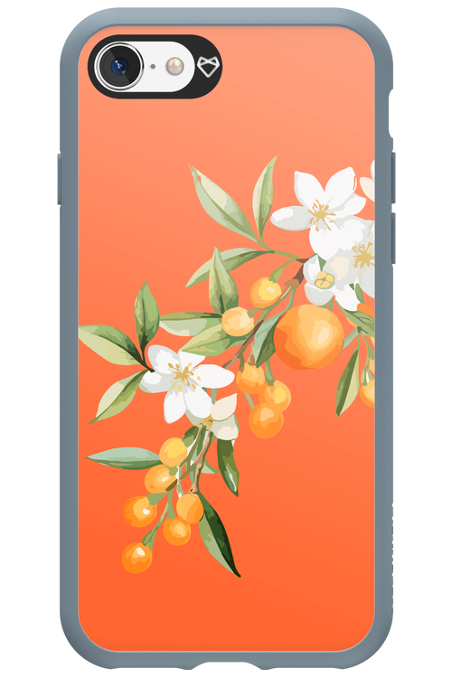 Amalfi Oranges - Apple iPhone SE 2020