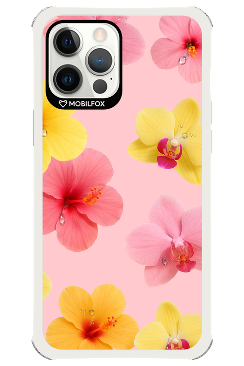 Sunset Flowers - Apple iPhone 12 Pro Max