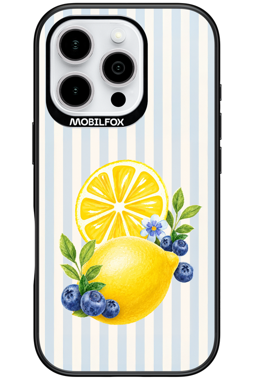 Fresh Flash 2.0 - Apple iPhone 16 Pro