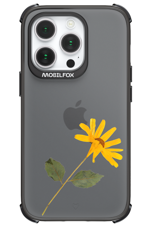 Pressed Flower - Apple iPhone 14 Pro