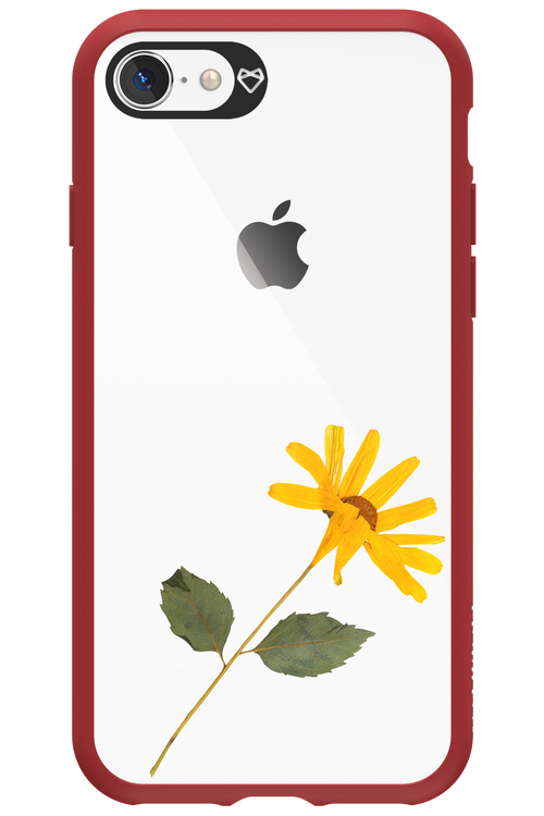 Pressed Flower - Apple iPhone 8