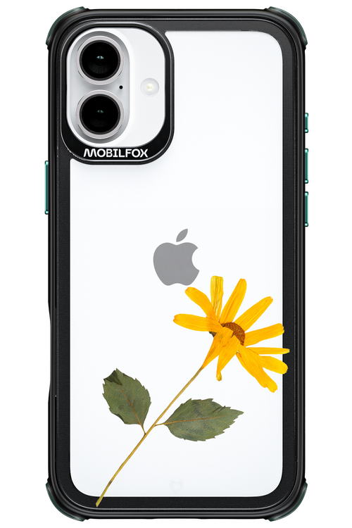 Pressed Flower - Apple iPhone 16 Plus