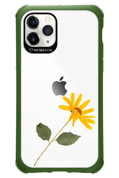 Pressed Flower - Apple iPhone 11 Pro