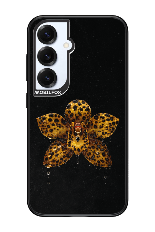 Wet & Wild 2.0 - Samsung S25