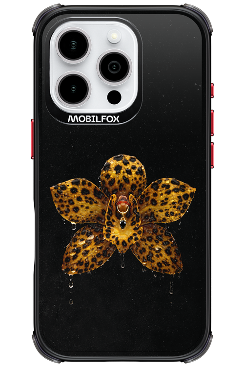 Wet & Wild 2.0 - Apple iPhone 16 Pro
