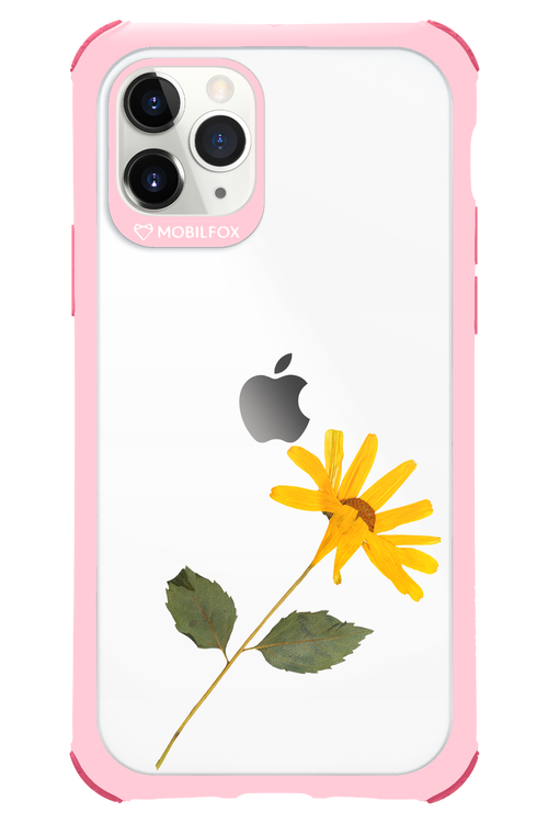 Pressed Flower - Apple iPhone 11 Pro