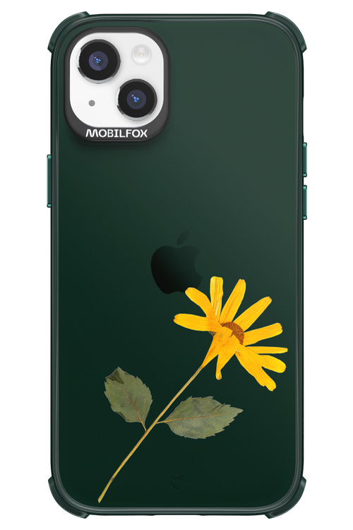 Pressed Flower - Apple iPhone 14 Plus