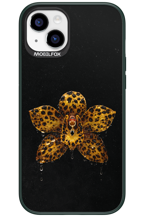 Wet & Wild 2.0 - Apple iPhone 15 Plus