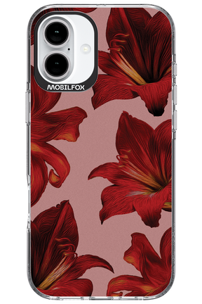 Amaryllis Mist - Apple iPhone 16 Plus