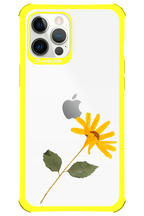 Pressed Flower - Apple iPhone 12 Pro Max