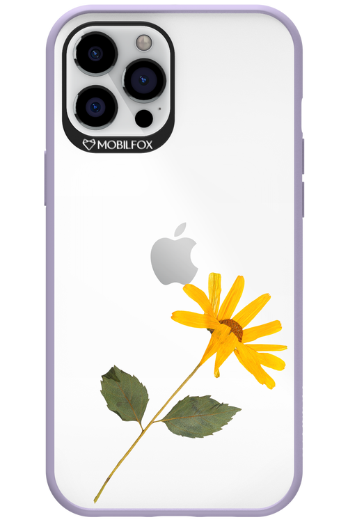 Pressed Flower - Apple iPhone 12 Pro Max