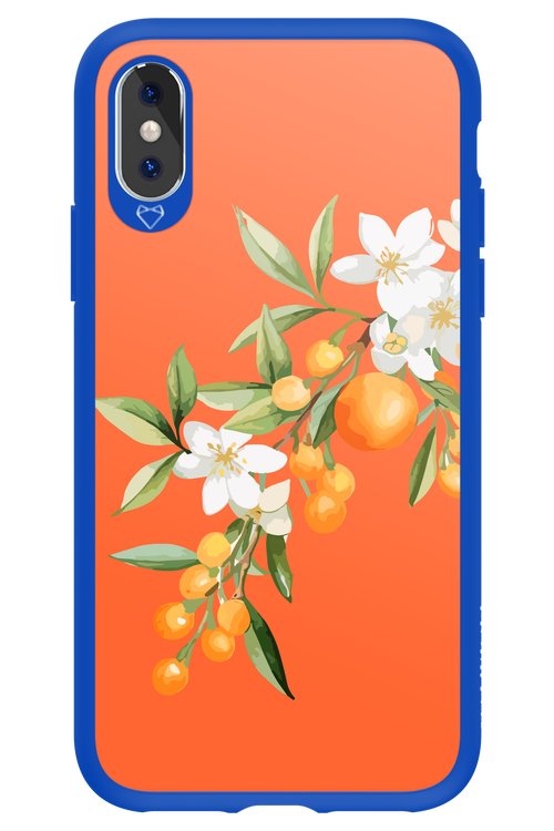 Amalfi Oranges - Apple iPhone XS