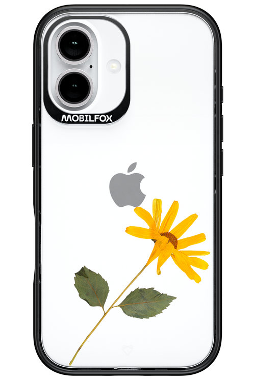 Pressed Flower - Apple iPhone 16