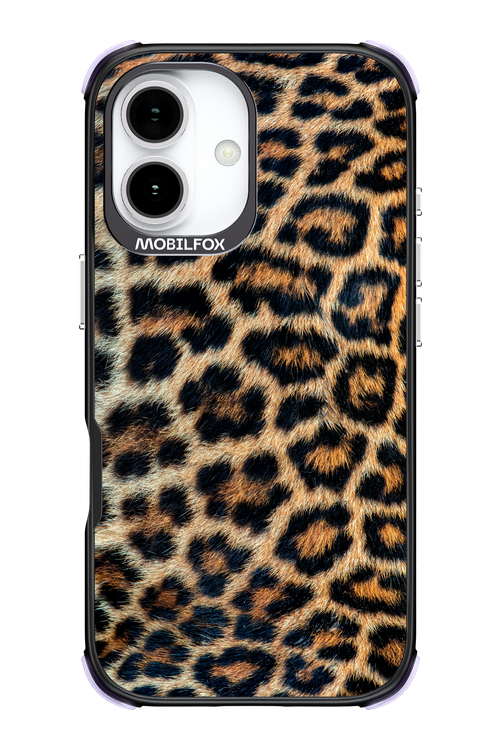 Leopard - Apple iPhone 17