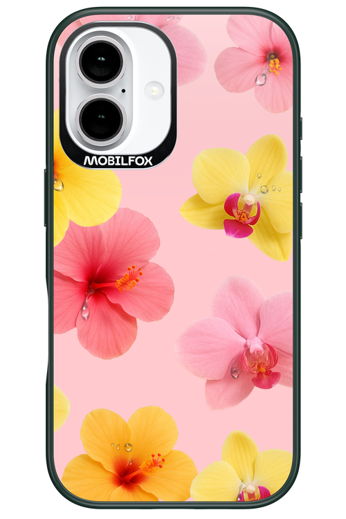 Sunset Flowers - Apple iPhone 16