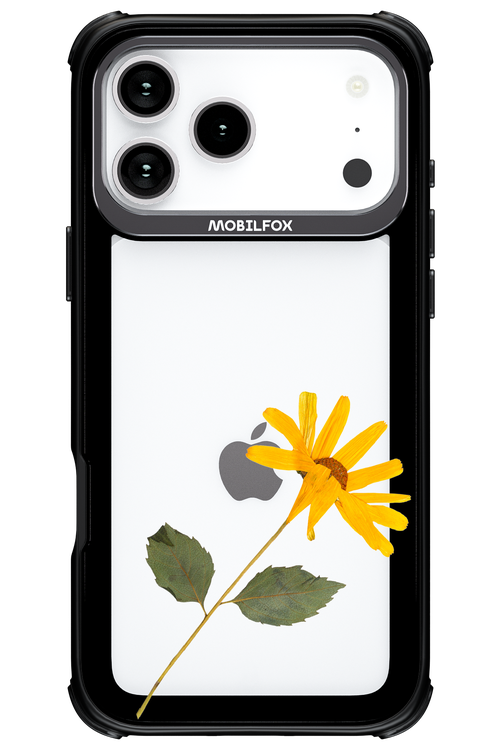 Pressed Flower - Apple iPhone 17 Pro Max