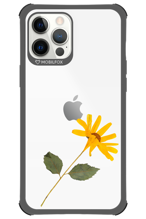 Pressed Flower - Apple iPhone 12 Pro Max