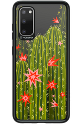 Cactus bloom 2.0 - Samsung Galaxy S20