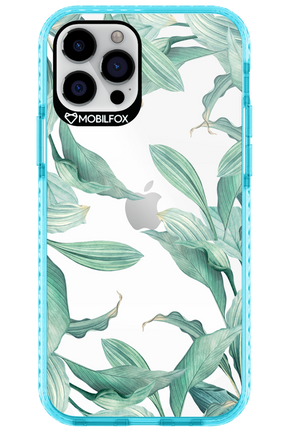 Greenpeace - Apple iPhone 12 Pro