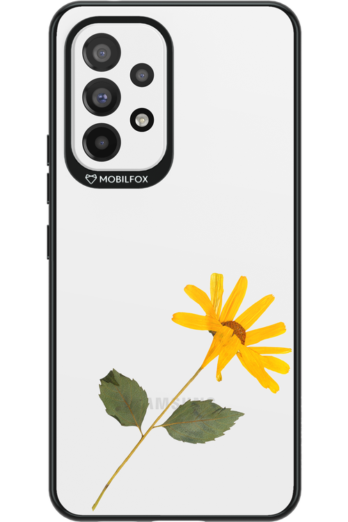 Pressed Flower - Samsung Galaxy A53