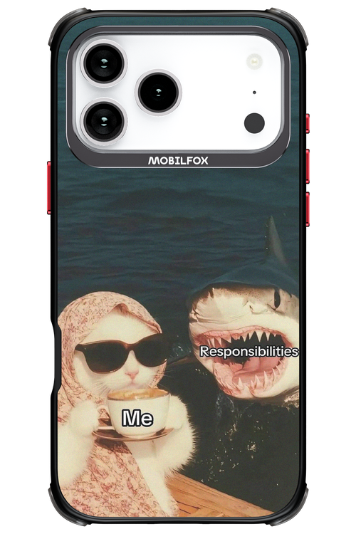 Responsibilities - Apple iPhone 17 Pro Max