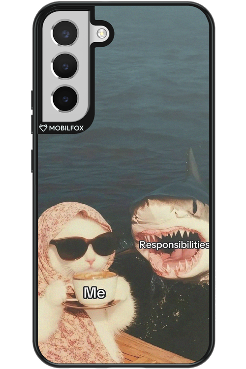 Responsibilities - Samsung Galaxy S22+