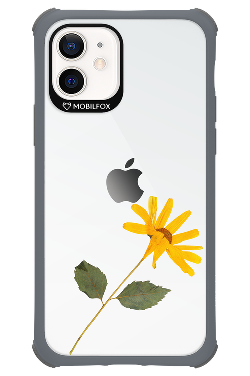 Pressed Flower - Apple iPhone 12