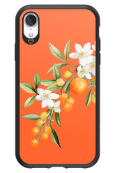 Amalfi Oranges - Apple iPhone XR