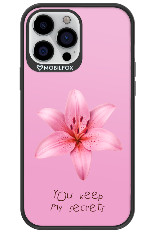 Secrets 2.0 - Apple iPhone 13 Pro Max