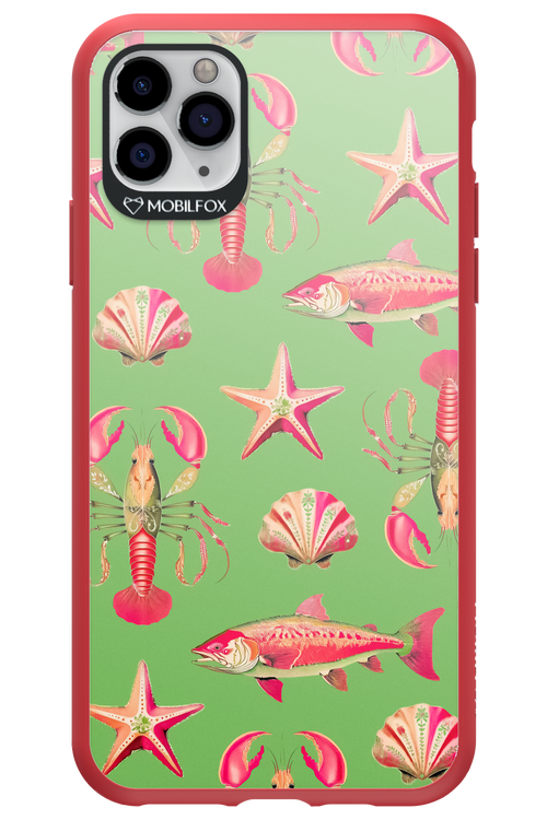 Sea Stars - Apple iPhone 11 Pro Max