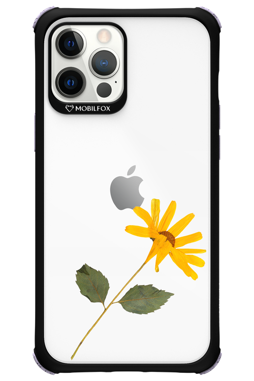 Pressed Flower - Apple iPhone 12 Pro Max