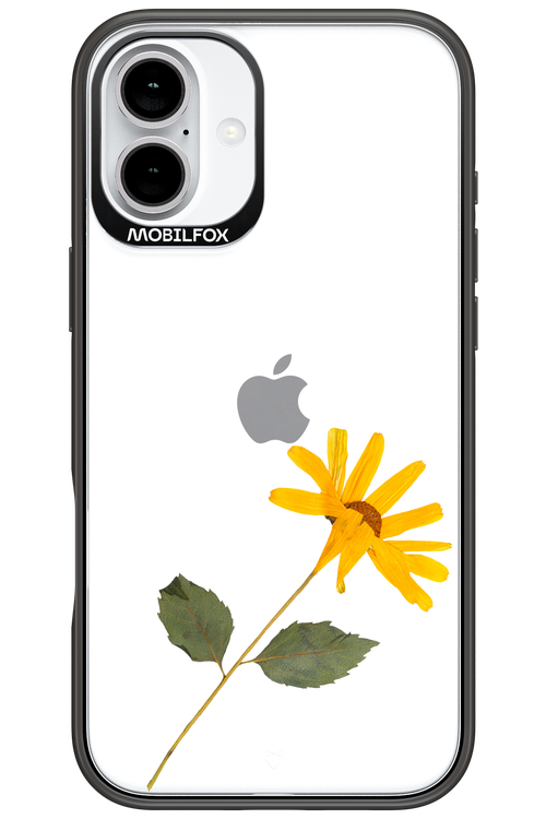 Pressed Flower - Apple iPhone 16 Plus