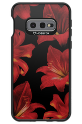 Amaryllis Noir - Samsung Galaxy S10e