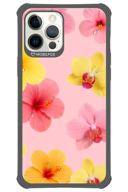 Sunset Flowers - Apple iPhone 12 Pro Max