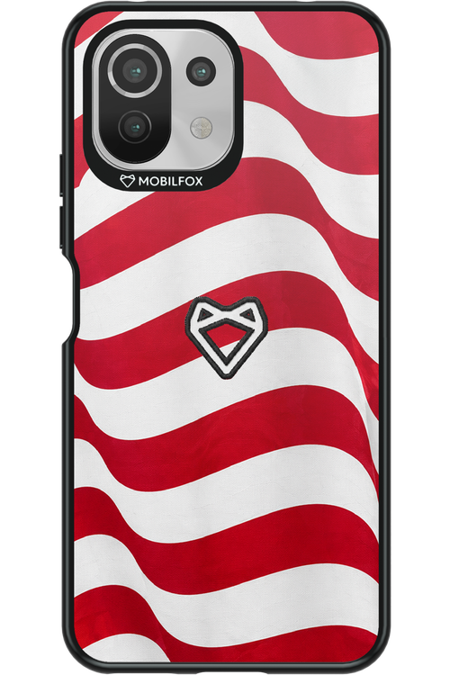USA 2.0 - Xiaomi Mi 11 Lite (2021)