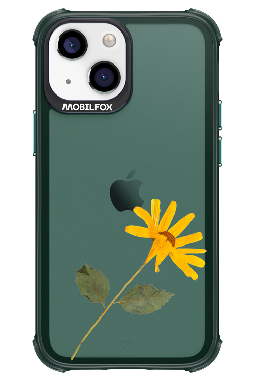 Pressed Flower - Apple iPhone 13 Mini
