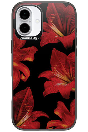 Amaryllis Noir - Apple iPhone 16 Plus
