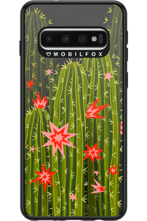 Cactus bloom 2.0 - Samsung Galaxy S10