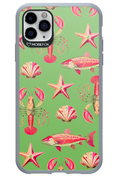 Sea Stars - Apple iPhone 11 Pro Max