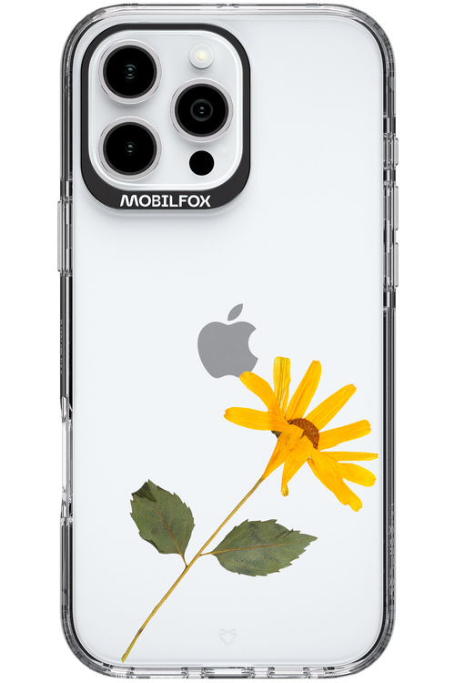 Pressed Flower - Apple iPhone 16 Pro Max
