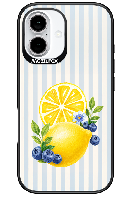 Fresh Flash 2.0 - Apple iPhone 16