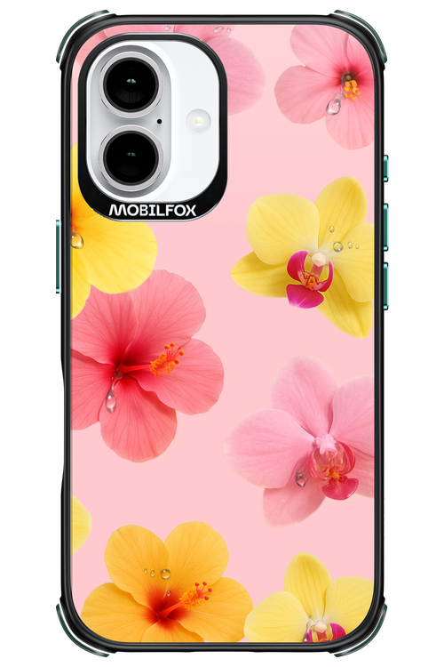 Sunset Flowers - Apple iPhone 16