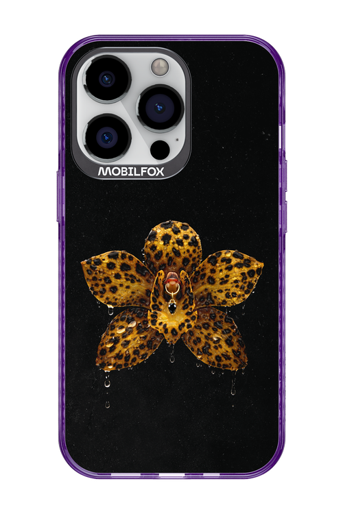 Wet & Wild 2.0 - Apple iPhone 13 Pro