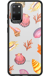 Sea Shells - Samsung Galaxy S20+