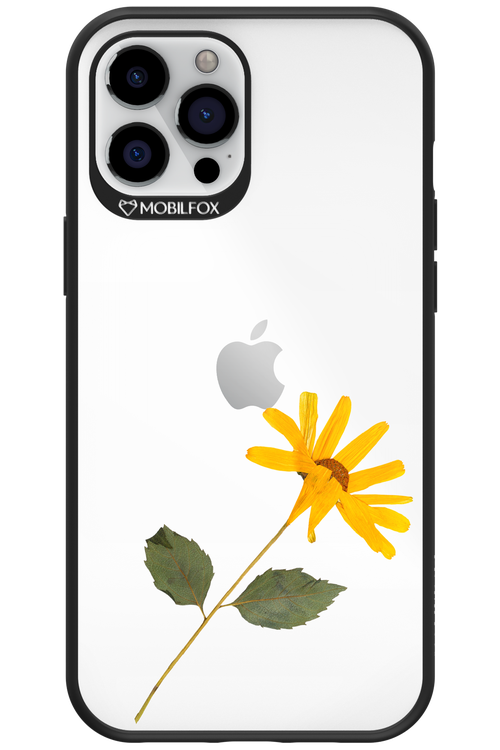 Pressed Flower - Apple iPhone 12 Pro Max