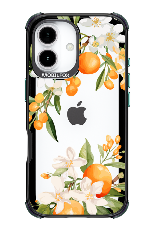 Amalfi Orange - Apple iPhone 17