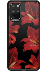 Amaryllis Noir - Samsung Galaxy S20+